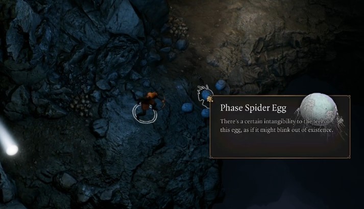 Huevos de araña de fase