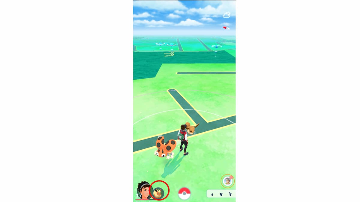 Cómo jugar con Buddy en Pokémon GO