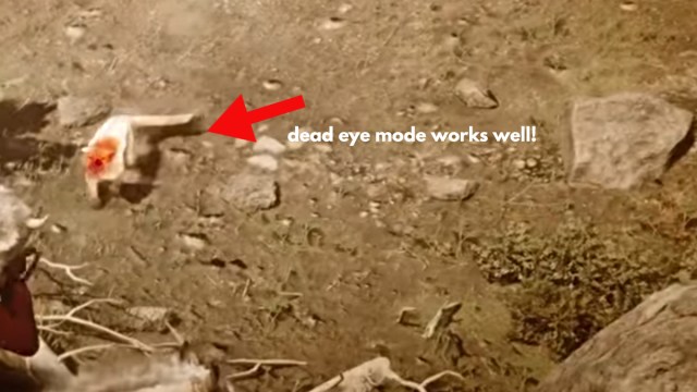 Red Dead Redemption 2 cómo matar a un puma