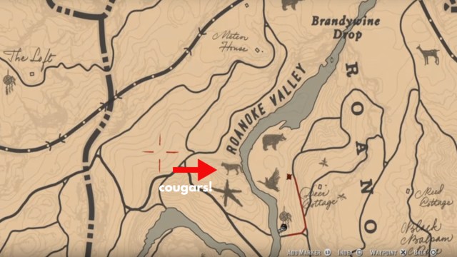 Red Dead Redemption 2 dónde encontrar pumas en el mapa
