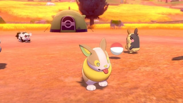 Pokemon Camp, Razones para jugar Pokemon Sword and Shield