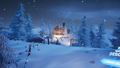 Fortnite Winterfest: So holst du kostenlos den Tannenbaum-Skin