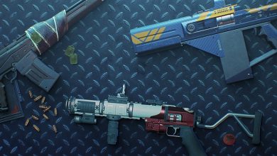 El jugador aplica a Destiny 2: "Amas las armas, amo el dinero"