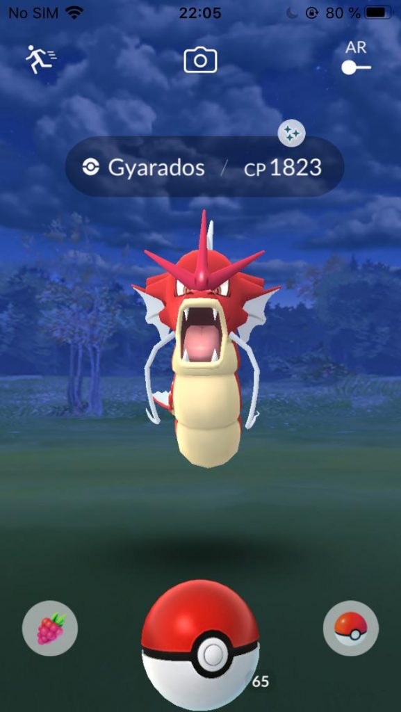 Pokémon GO Desierto de Garados Brillante