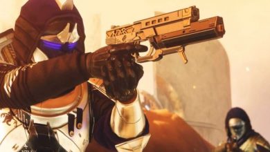 Diesen Monat kommen 2 neue exotische Waffen zu Destiny 2 – Das wissen wir
