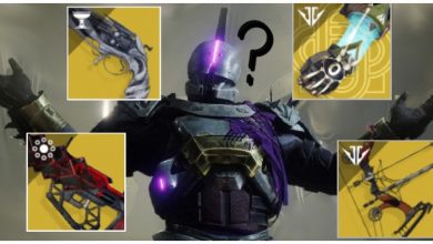Destiny 2: ¿Lo sabías? 14 exóticos tienen habilidades ocultas
