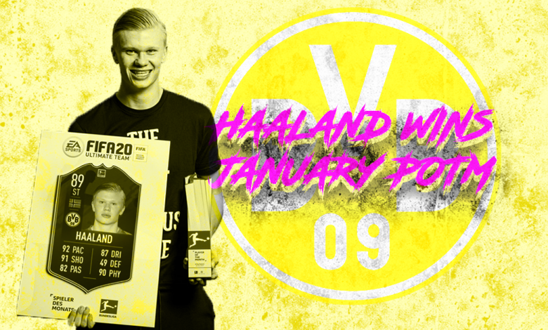 erling haaland fifa 20 erling haaland fifa 20