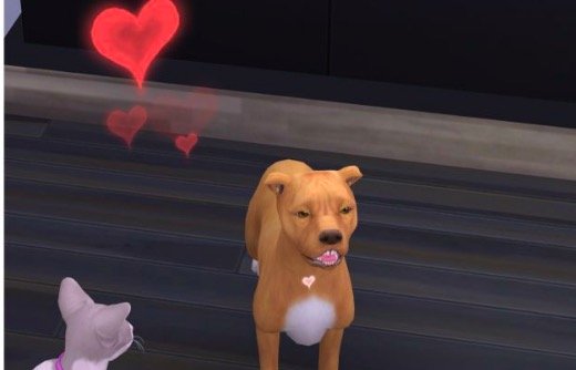 mods de calor, sims 4