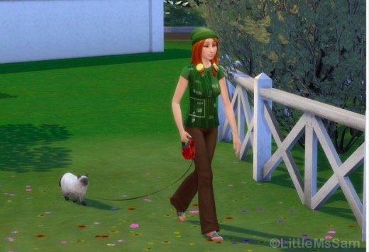 sims 4, pasear a los gatos 