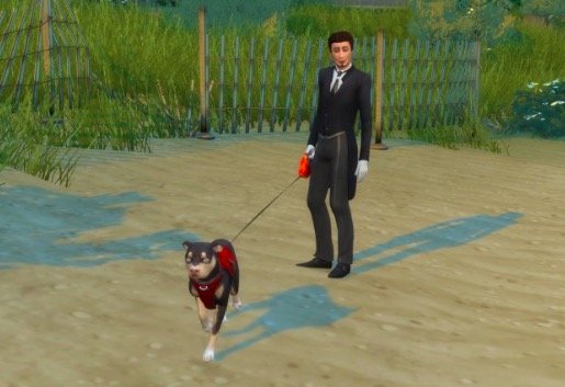 paseador de perros mod sims 4