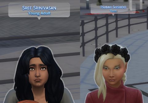 sims 4 adult custom content