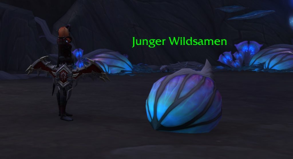WoW Ardenweald salvaje