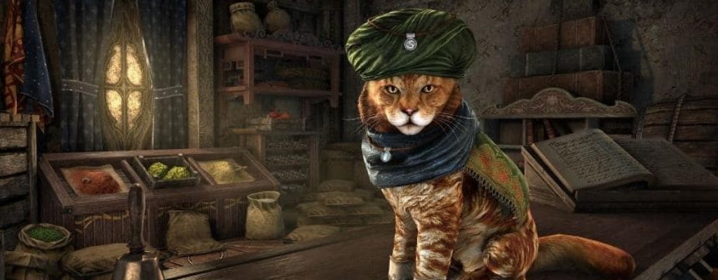 eso-alfiq-khajiit-titel-01 "class =" lazy lazy-hidden wp-image-341988 "srcset =" https://images.mein-mmo.de/medien/2019/04/eso-alfiq-khajiit- title-01.jpg 1024w, https://images.mein-mmo.de/medien/2019/04/eso-alfiq-khajiit-title-01-150x59.jpg 150w, https: //images.mein-mmo. de / medien / 2019/04 / eso-alfiq-khajiit-titel-01-300x117.jpg 300w, https://images.mein-mmo.de/medien/2019/04/eso-alfiq-khajiit-title-01 -768x300.jpg 768w "data-lazy-tamaños =" (ancho máximo: 1024px) 100vw, 1024px "> Solo las mascotas comerciales como este Khajiit son tan útiles como las mascotas de paquete. <p><strong>¿Para quién vale particularmente la bestia?</strong> Los lugares de inventario en ESO tienen una gran demanda y solo se pueden obtener en el juego con mucho oro y la molienda asociada. En la tienda de efectivo hay una actualización con 10 espacios de inventario por alrededor de 8,70 euros.</p> <p>La rata (y el cerdo) cuestan alrededor de 10 euros cada uno con 1.200 coronas, pero sus bonificaciones se aplican a TODOS tus personajes. Entonces, si tiene al menos un twink que también usa regularmente, ya se beneficia de la rata. Aquellos que usan más jovencitos tienen aún más roedores.</p> <h2>La comunidad ha anhelado Rattenpet</h2> <p><strong>¿De dónde surgió la idea de la rata?</strong> Los ansiosos jugadores de Elder Scrolls Games conocen ratas de manada del lecho rocoso Morrowind y su Tribunal de expansión. Ya había ratas que podían transportar tus cosas.</p> <p>Además, las ratas estaban tan bien entrenadas que incluso podían usar pergaminos con los que los había empacado. Desafortunadamente, sus primos en ESO no pueden.</p> <p><strong>¿Jugó alguna vez la rata?</strong> Hasta ahora, la rata solo estaba en movimiento como un rumor. Pero había filtraciones e imágenes de ella que circulaban en la comunidad. También puedes admirar una rata de paquete como un NPC en un escritorio, pero desafortunadamente no puedes llevarlo contigo. Ahora que la criatura finalmente está disponible, los jugadores están contentos y algunos ya han invertido dinero en la rata:</p> <ul> <li>Kid-With-Knife: “Esta capacidad de +5 para todos mis personajes bien vale el precio para este pequeño. Conseguir un amigo peludo como una ganga es otra ventaja ”.</li> <li>Bigluce: “Me gustaría tener esta rata como mascota. La rata Daedra es fea y el Jerboa es súper lindo, pero tan pequeño ".</li> <li>The_Bone_Rat: “Las ratas son mascotas adorables, inteligentes y cariñosas. Su único inconveniente es que tienen una vida tan corta. Con esta mascota de rata puedo tener una para no tener que preocuparme por su vida útil ".</li> </ul> <p>Entonces, los amigos de ratas parecen estar muy felices de tener una rata útil, linda e inmortal que arrastrará sus cosas en el juego. De todos modos, ESO tiene un montón de animales geniales que te siguen. ¡La mascota más loca que puedes tener es una piedra sin alma que solo hace lo que hacen las piedras!</p> <div class=