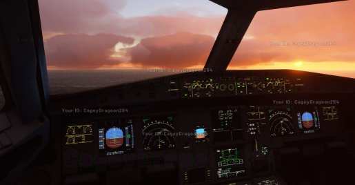 Simulador de vuelo de Microsoft (3)
