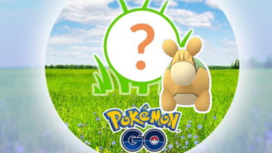 Pokémon GO: la hora de atención de hoy con Camaub y Stardust
