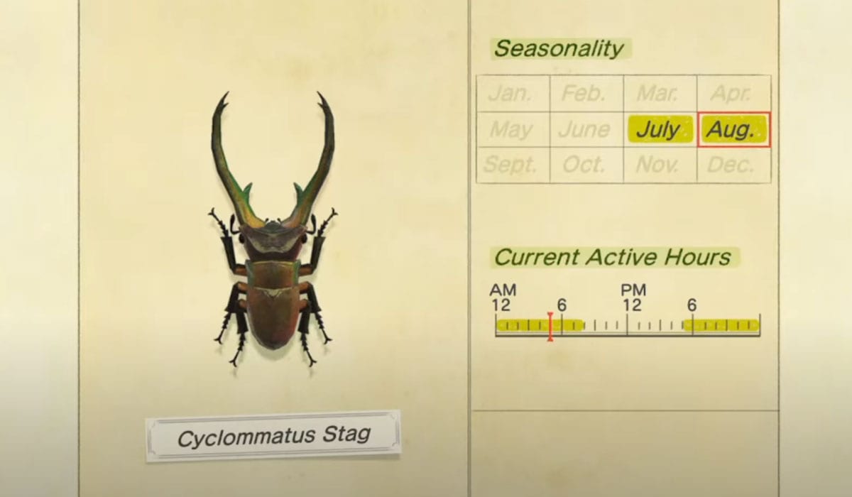 Ciervo de Cyclommatus Animal Crossing New Horizons