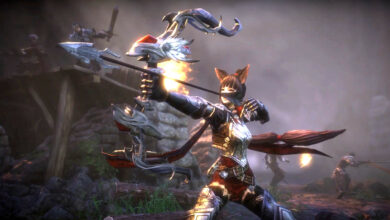 El nuevo MMORPG comienza en Steam: el 90% de las revisiones desaconsejan