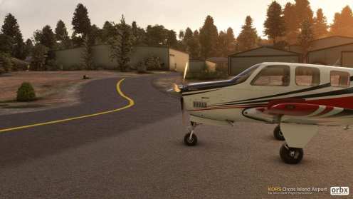 Microsoft Flight Simulator (32)