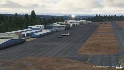 Microsoft Flight Simulator (37)