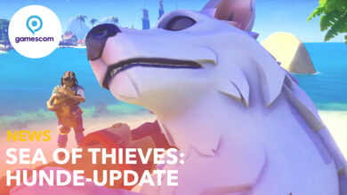 Sea of ​​Thieves trae perros: los fanáticos publican montones de sus propios doggos como sugerencia