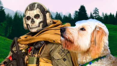 Jugador entrena a su perro para que juegue a CoD Warzone - consigue 3 muertes
