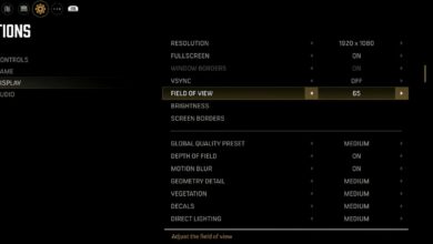 Mafia DE graphics settings