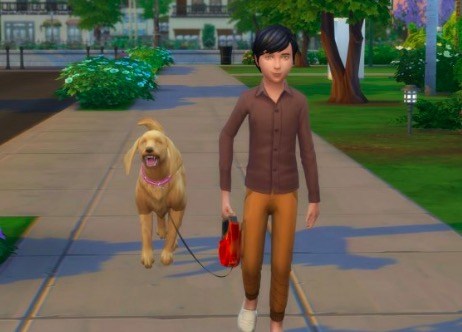 Pero Precursor Óxido Los mejores mods de perros y gatos de Sims 4 para tus mascotas (2021)