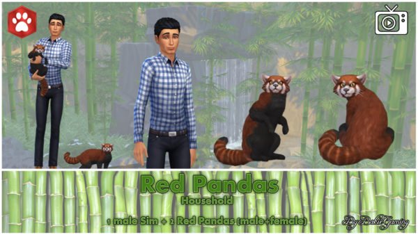 Los mejores mods de Sims 4 Gatos y perros (2021)