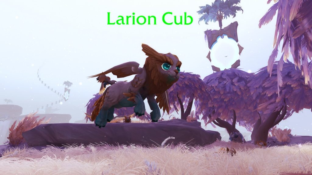 WoW Larion Cub