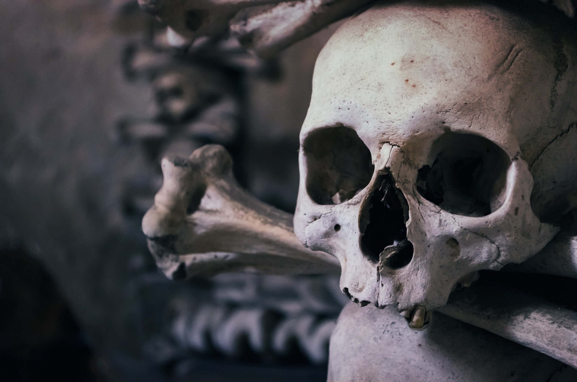 El nuevo juego de terror muestra cómo muere un MMO: es "insoportablemente real"