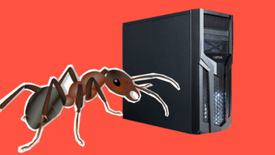 El jugador lucha con la infestación de hormigas en su PC para juegos, por eso es tan difícil deshacerse de él