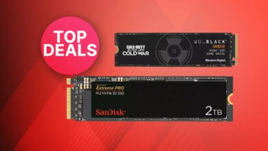 OTTO ofrece: SSD súper rápidos de SanDisk & WD al mejor precio
