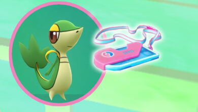 Pokémon GO: "Serpifeu in the Sunshine" por 1 € - ¿Qué hay en el boleto?