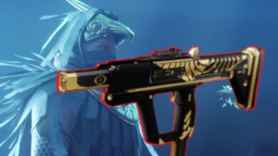 Destiny 2 tiene una nueva y mejor metralleta: esto es lo que hace que la ira de Shayura sea tan fuerte