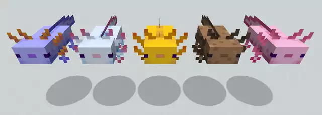 Variantes de color de Minecraft Axolotl