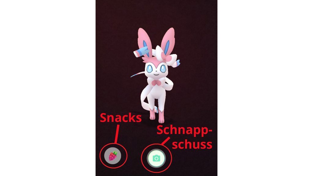 Pokémon GO - compañero de explicación