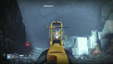 Destiny 2 - ¿Podemos cambiar la región del servidor en Steam?