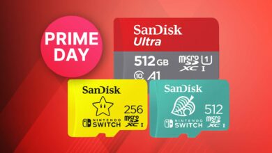 Oferta Amazon Prime Day: tarjetas de memoria Nintendo Switch al mejor precio