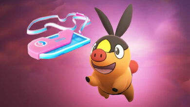 Pokémon GO: "Nueces tostadas" para Floink - Esto está en el boleto por 1 €