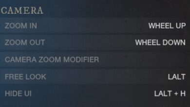 New World Camera Controls