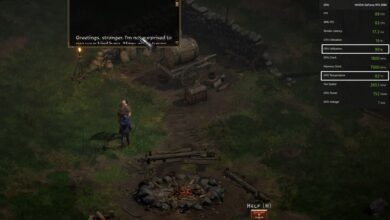 Diablo 2 Resurrected - 99% GPU Usage