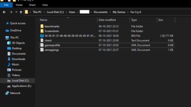 Ubicación del archivo de configuración y guardado de Far Cry 6
