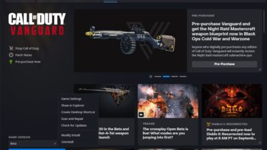 Velocidad de descarga lenta de Call of Duty (COD) Vanguard en Battle.net: cómo solucionarlo