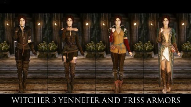 Triss and Yennefer Armor Mod