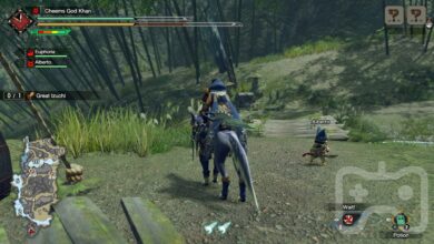¿Hay compatibilidad con la cooperativa en línea en Monster Hunter Rise PC?