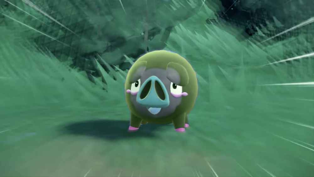 Shiny Lechonk Pokémon Escarlata y Violeta