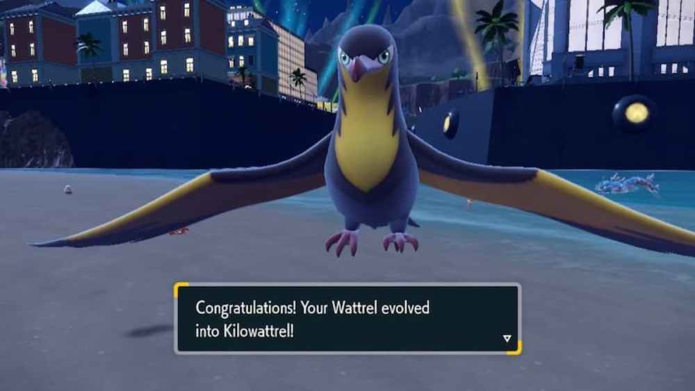 Un Kilowattrel recién evolucionado en Pokémon Scarlet y Violet. 