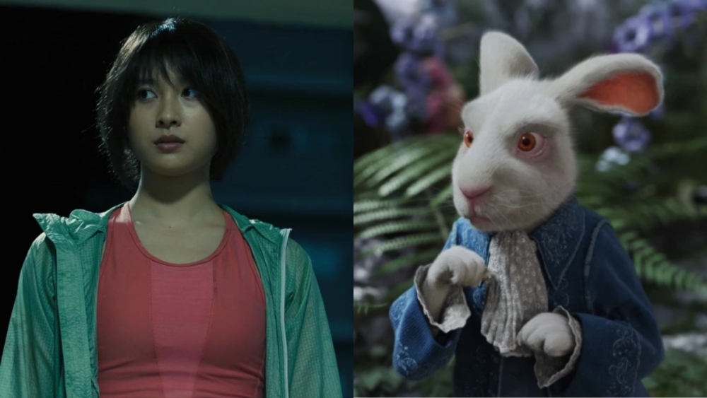 Usagi de Alicia en el País Fronterizo es paralelo al Conejo Blanco de Alicia en el País de las Maravillas.