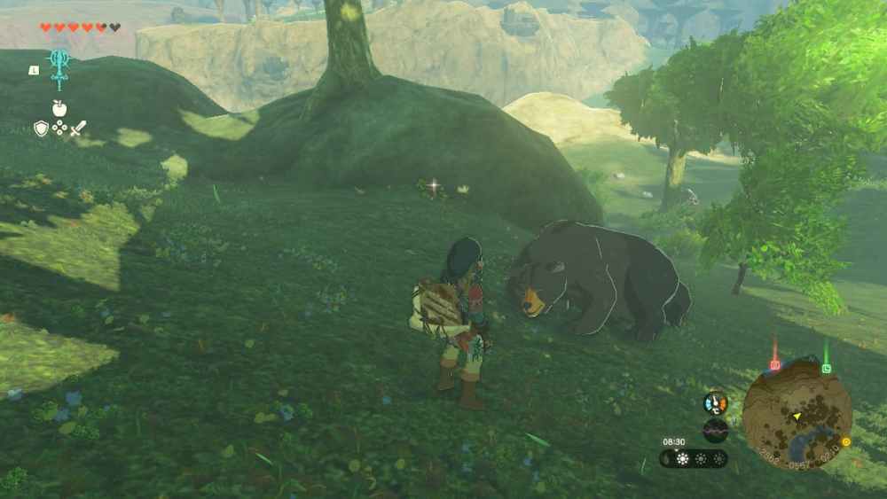 Cómo matar a los osos grizzly en Zelda: Tears of the Kingdom