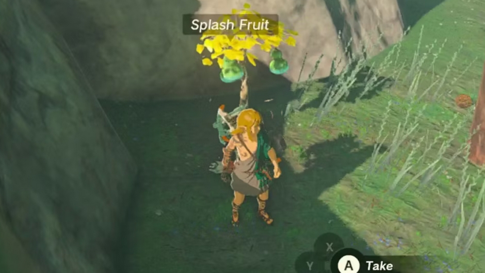 Zelda Tears of the Kingdom cómo encontrar Splash Fruit